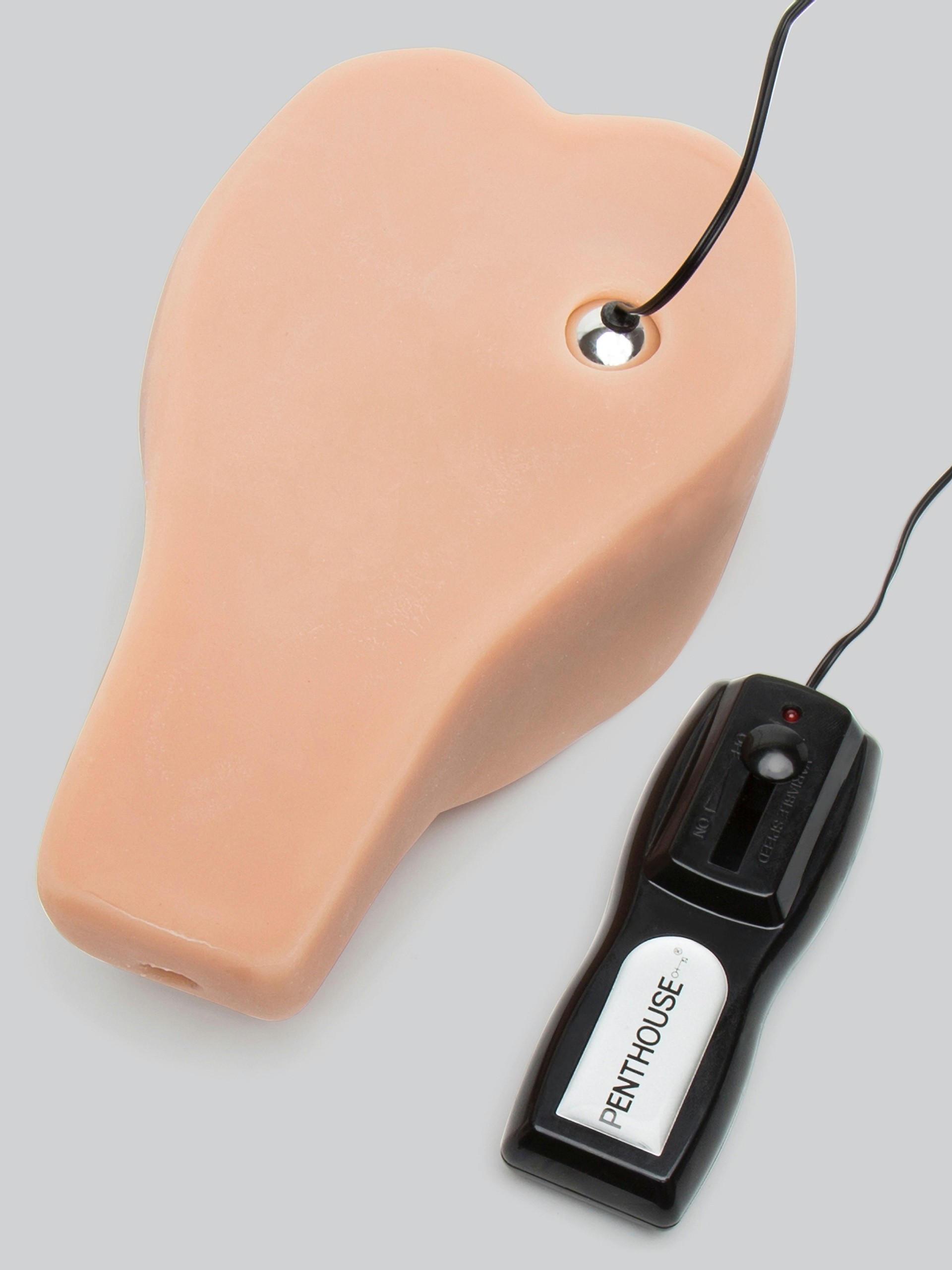 Penthouse Pet Heather Vandeven CyberSkin Vibrating Pussy and Ass, Flesh Pink, hi-res