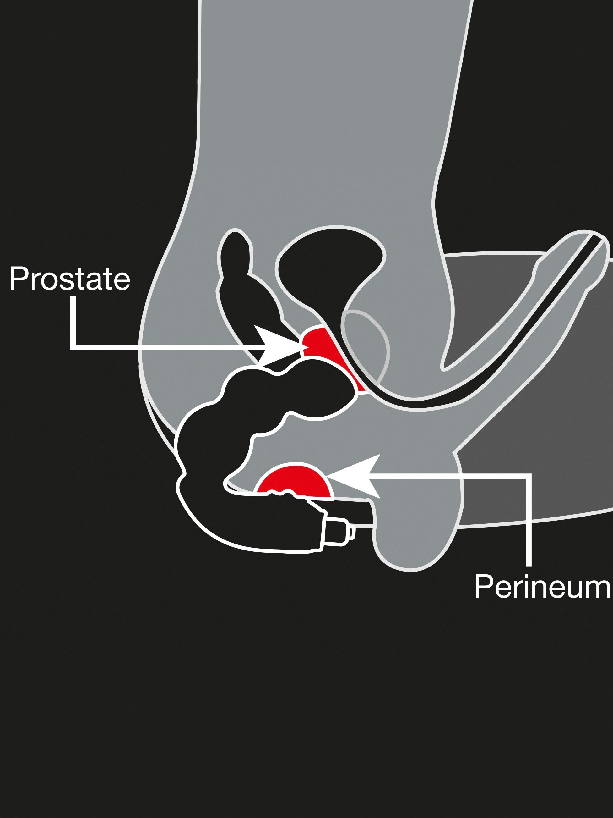 Rocks Off 7 Function Big Boy Vibrating Prostate Massager, Black, hi-res