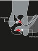 Rocks Off 7 Function Big Boy Vibrating Prostate Massager, Black, hi-res
