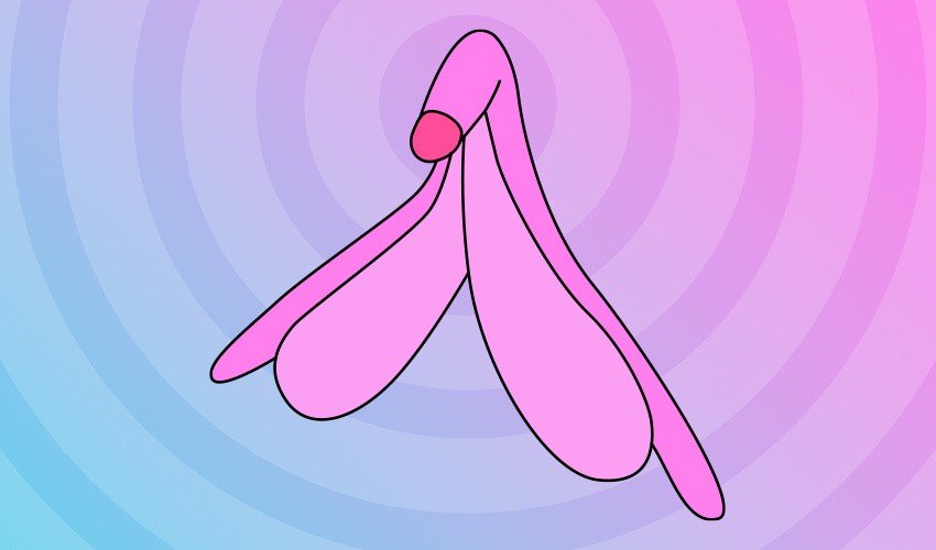 404-Page-found-the-clitoris-Uber-850x500