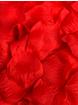 Pétales de rose romantiques rouges, Lovehoney Oh!, , hi-res
