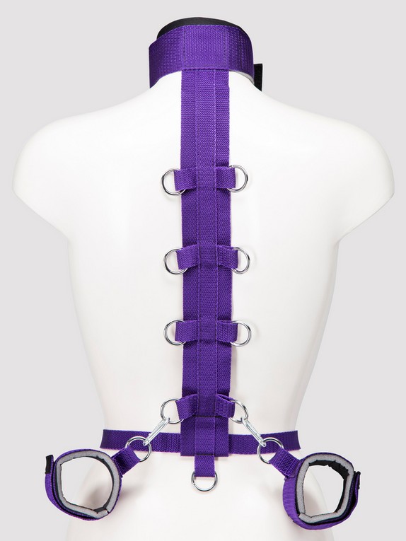 Purple Reins Body Harness Restraint · CheekyDrops 🍒