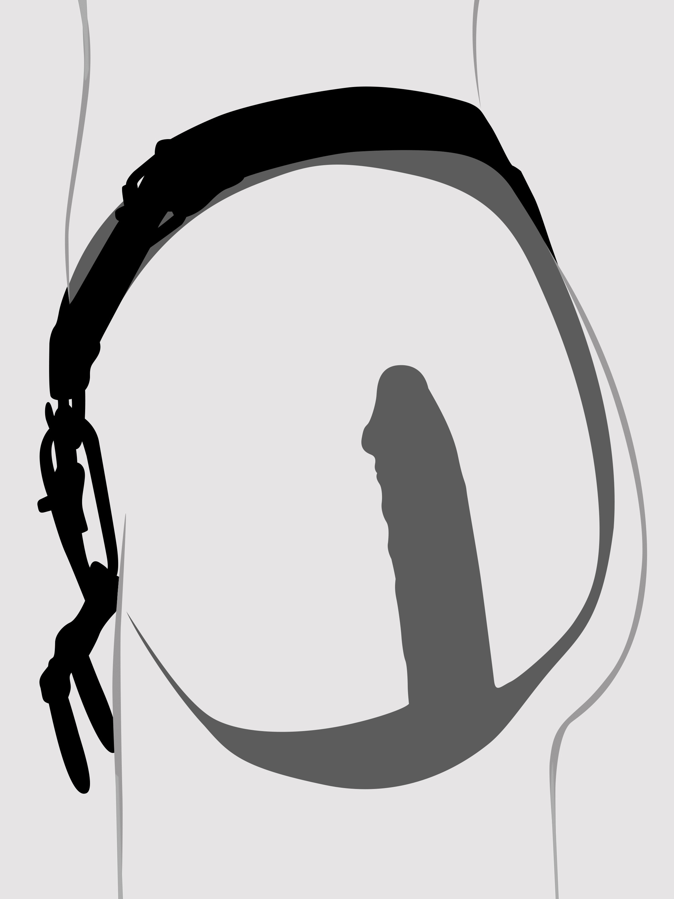 DOMINIX Deluxe Leather Harness with Butt Plug and Cock Cage, Black, hi-res