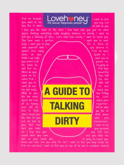 Lovehoney A Guide to Talking Dirty, , hi-res
