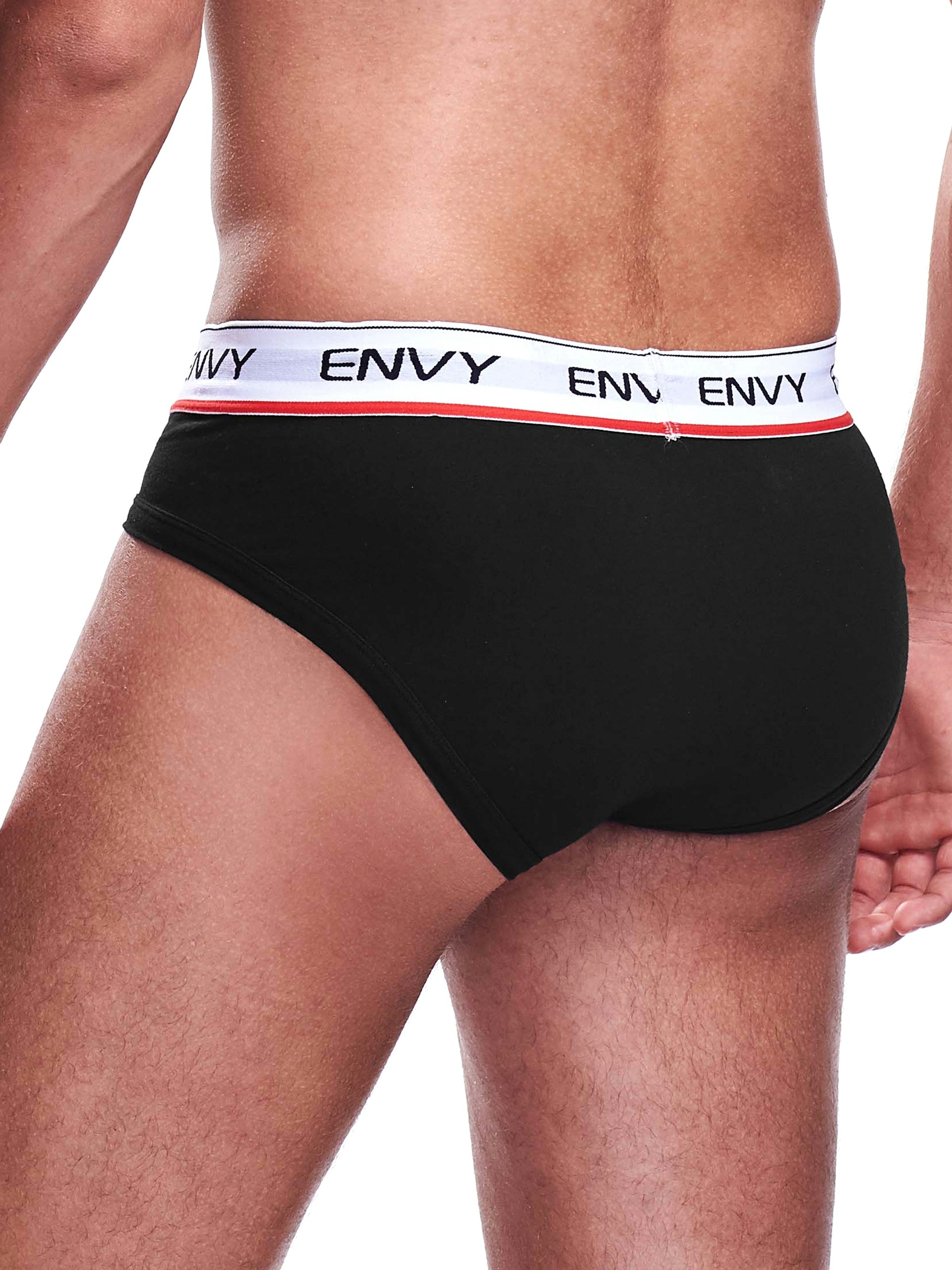 Envy Black Sheer Mesh Front Briefs, Black, hi-res