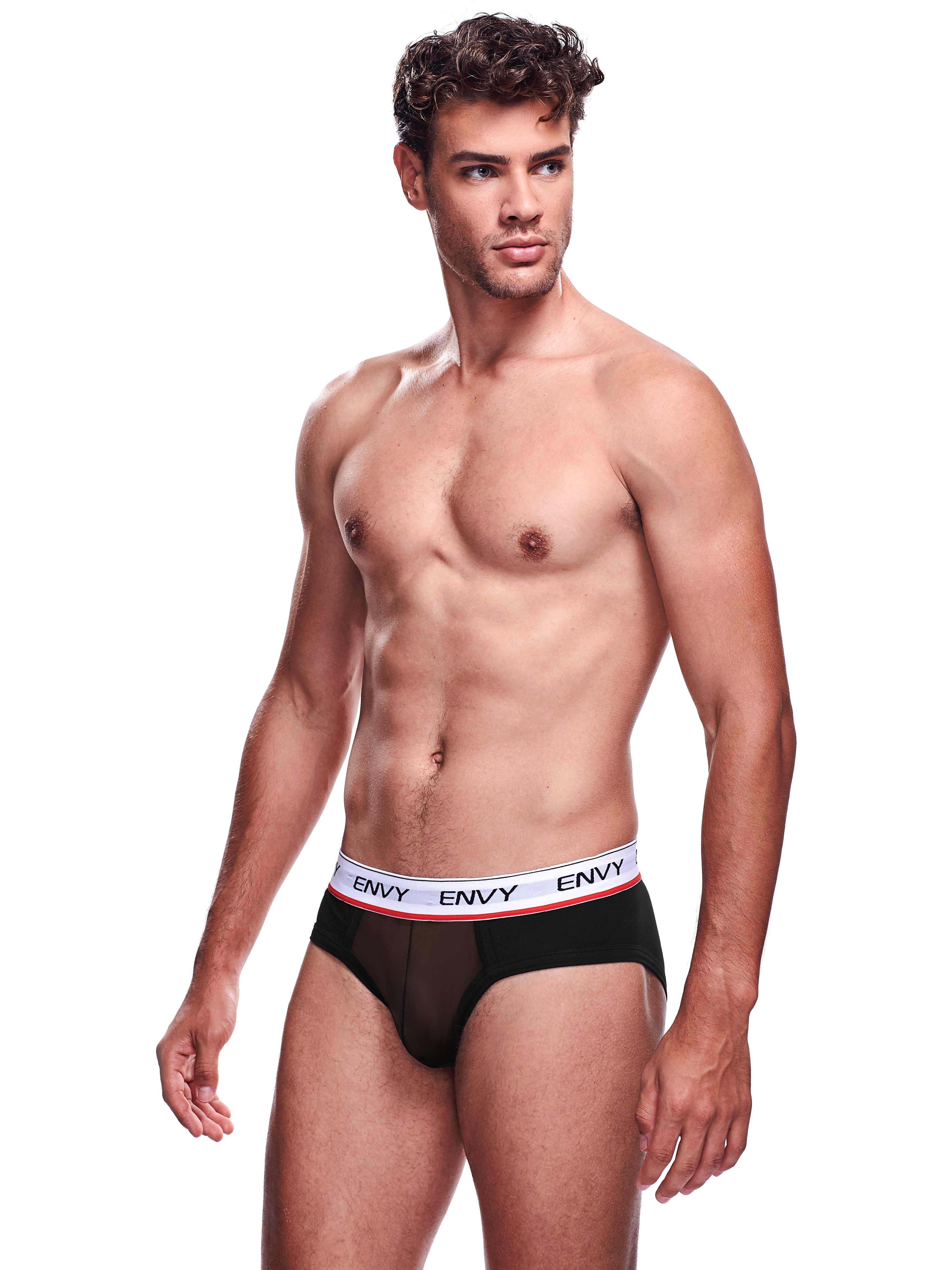 Envy Black Sheer Mesh Front Briefs, Black, hi-res
