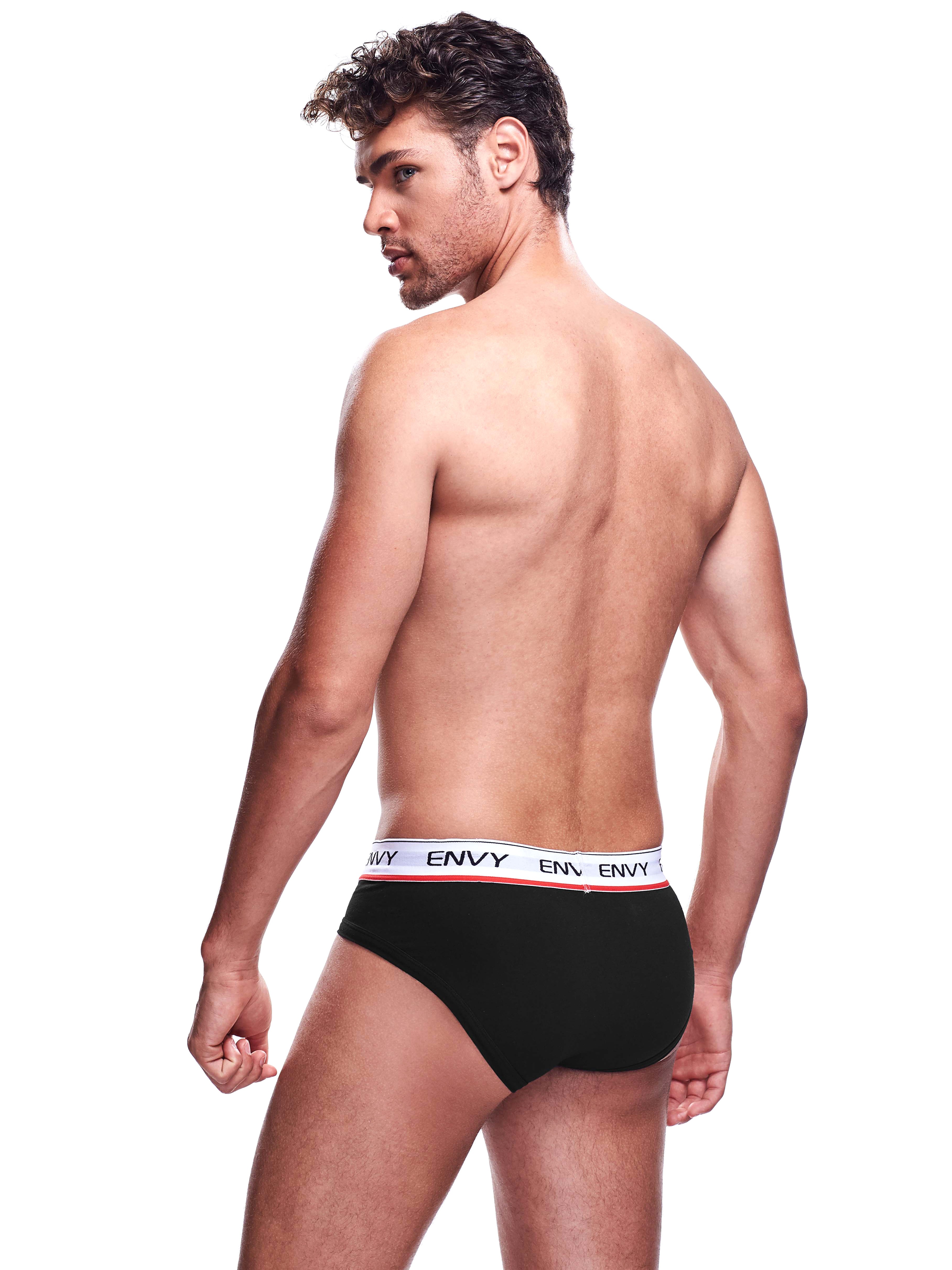 Envy Black Sheer Mesh Front Briefs, Black, hi-res