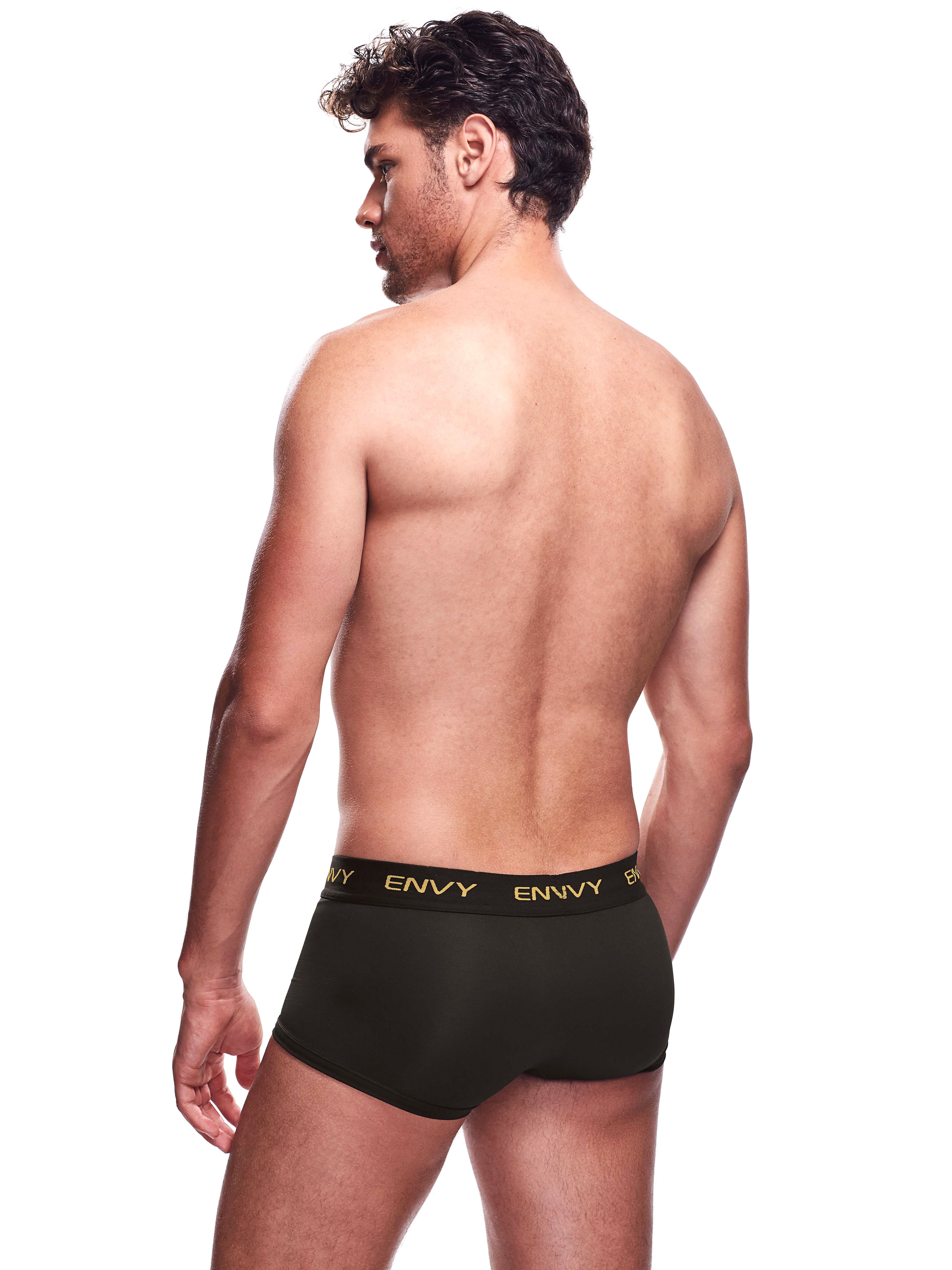 Envy Black Sheer Mesh Front Boxers, Black, hi-res