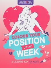 Lovehoney Position of the Week Coloring Book, , hi-res