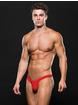 Envy Red Microfibre Zip Front Thong, Red, hi-res