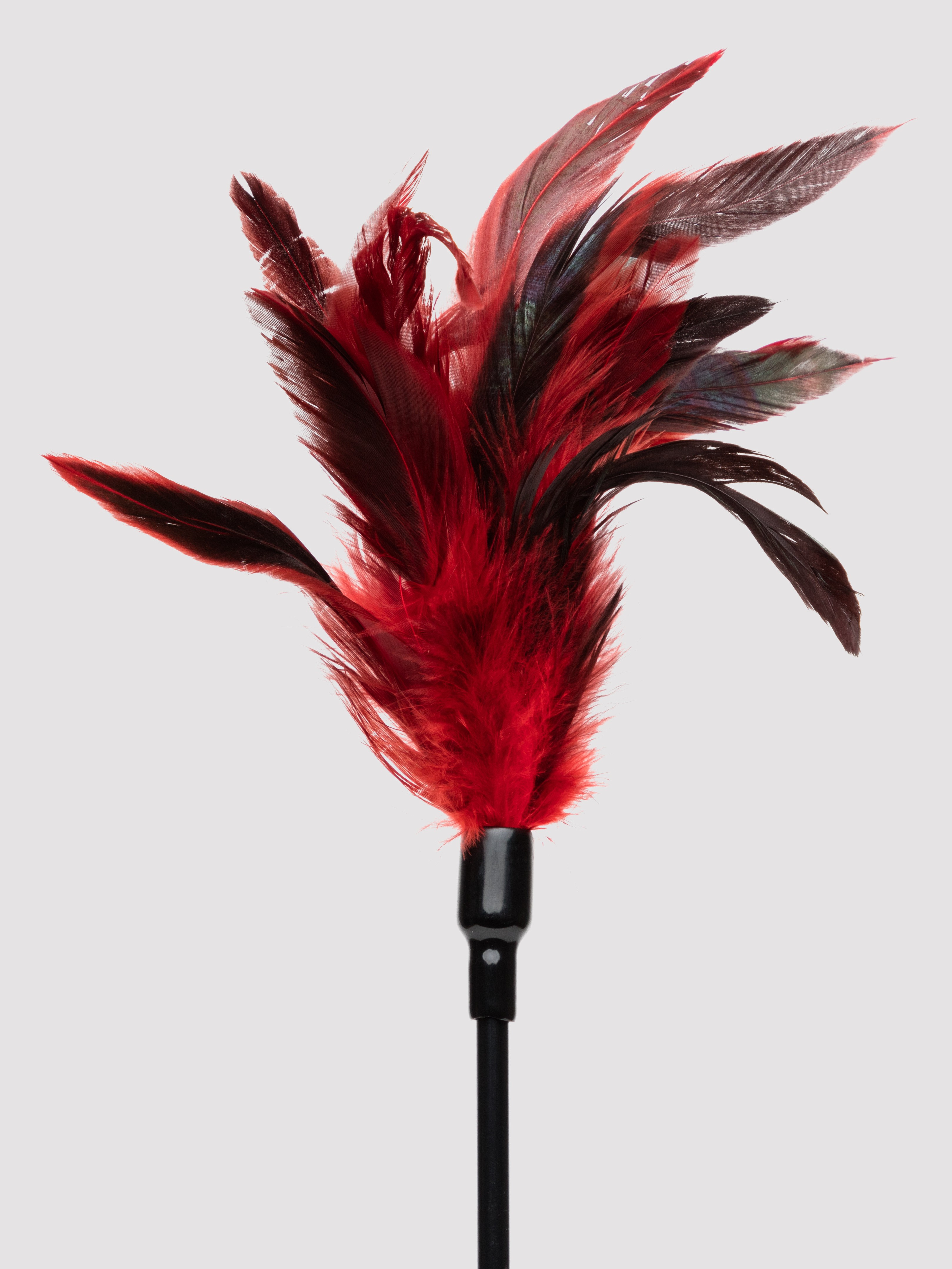 Sex & Mischief 2-in-1 Feather Tickler Riding Crop, Red, hi-res