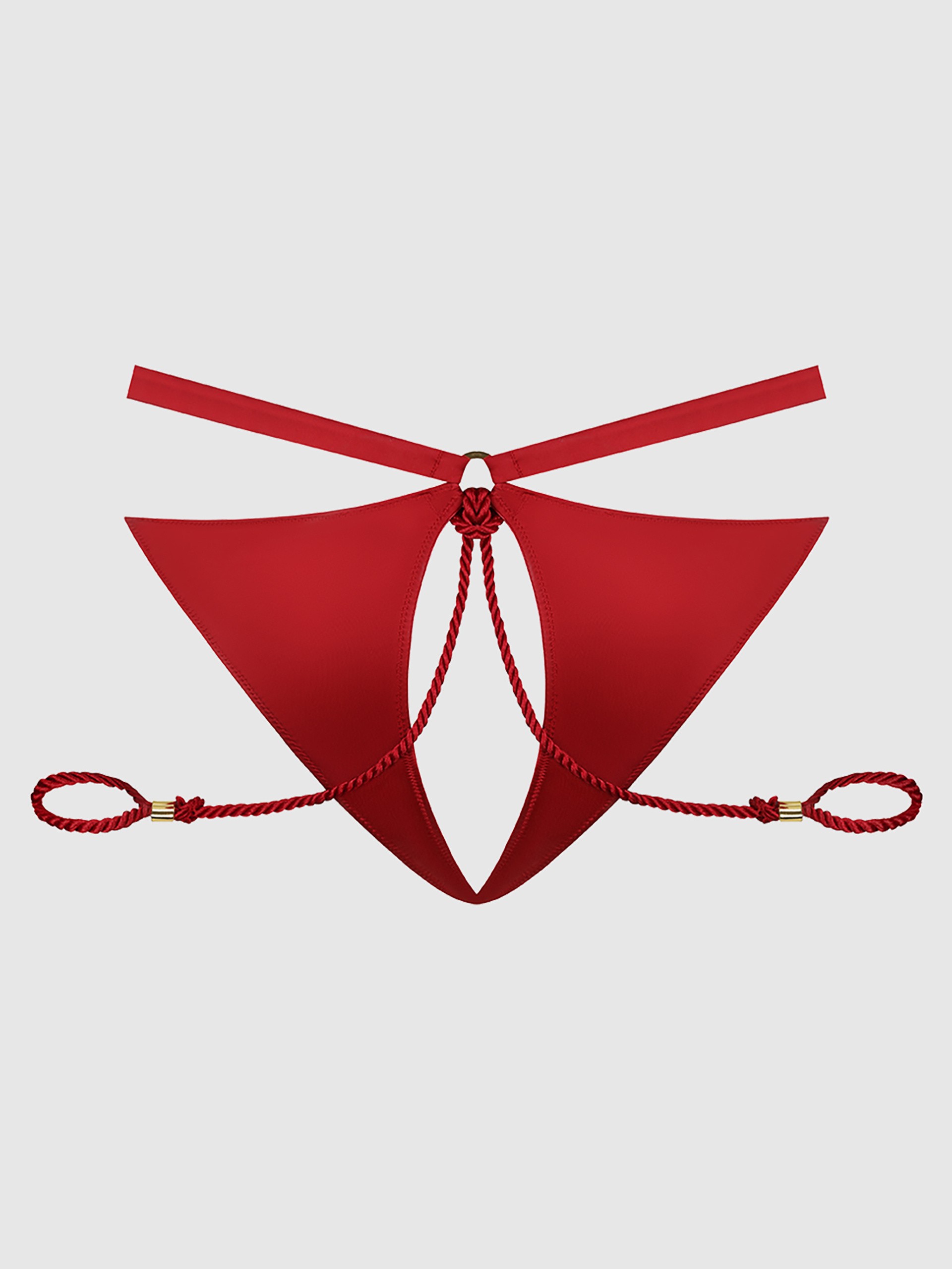House of Desire Iryna Silky Micro & Rope Crotchless Restraint Knicker, Red, hi-res
