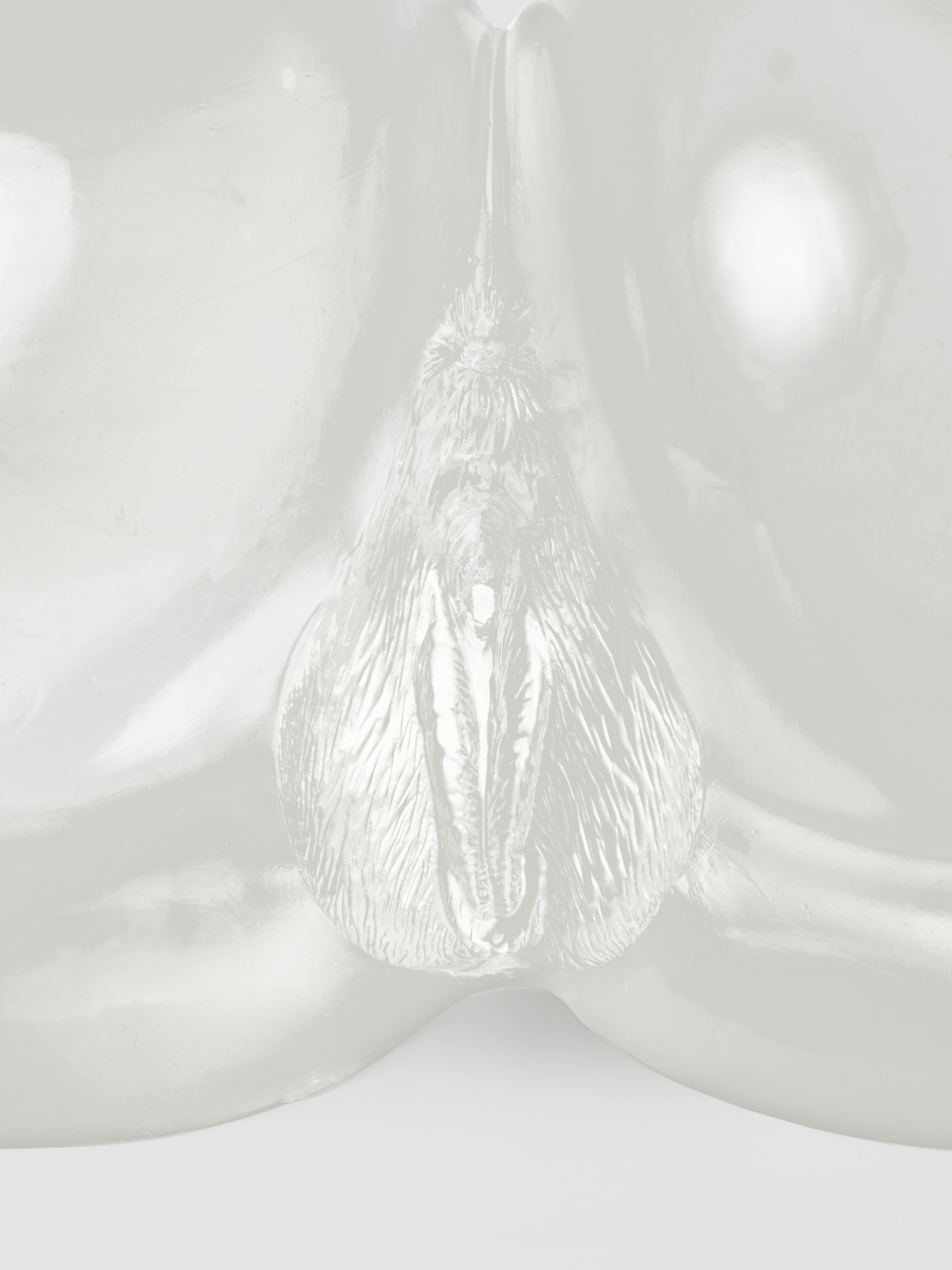 Stroke It BBL Clear Realistic Booty and Vagina 3.5kg, Clear, hi-res