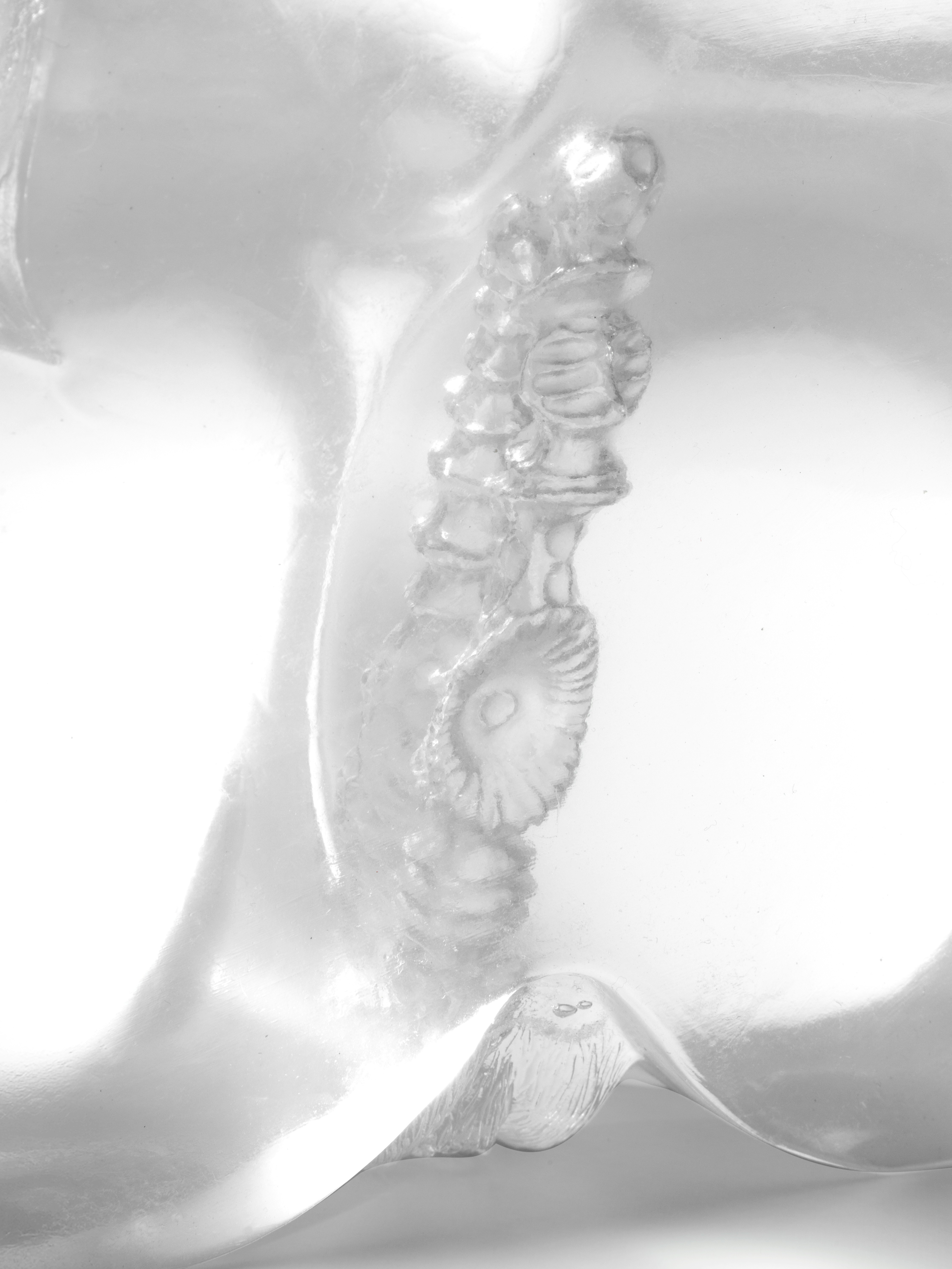 Stroke It BBL Clear Realistic Booty and Vagina 3.5kg, Clear, hi-res