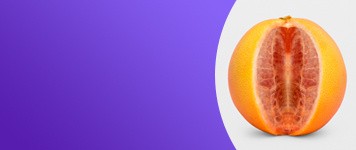 Evo-ShopCat-Ero-Vulva-356x150