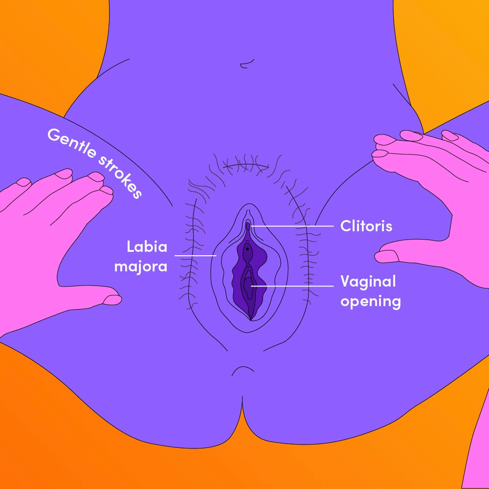 A colourful illustrated diagram of a vulva.