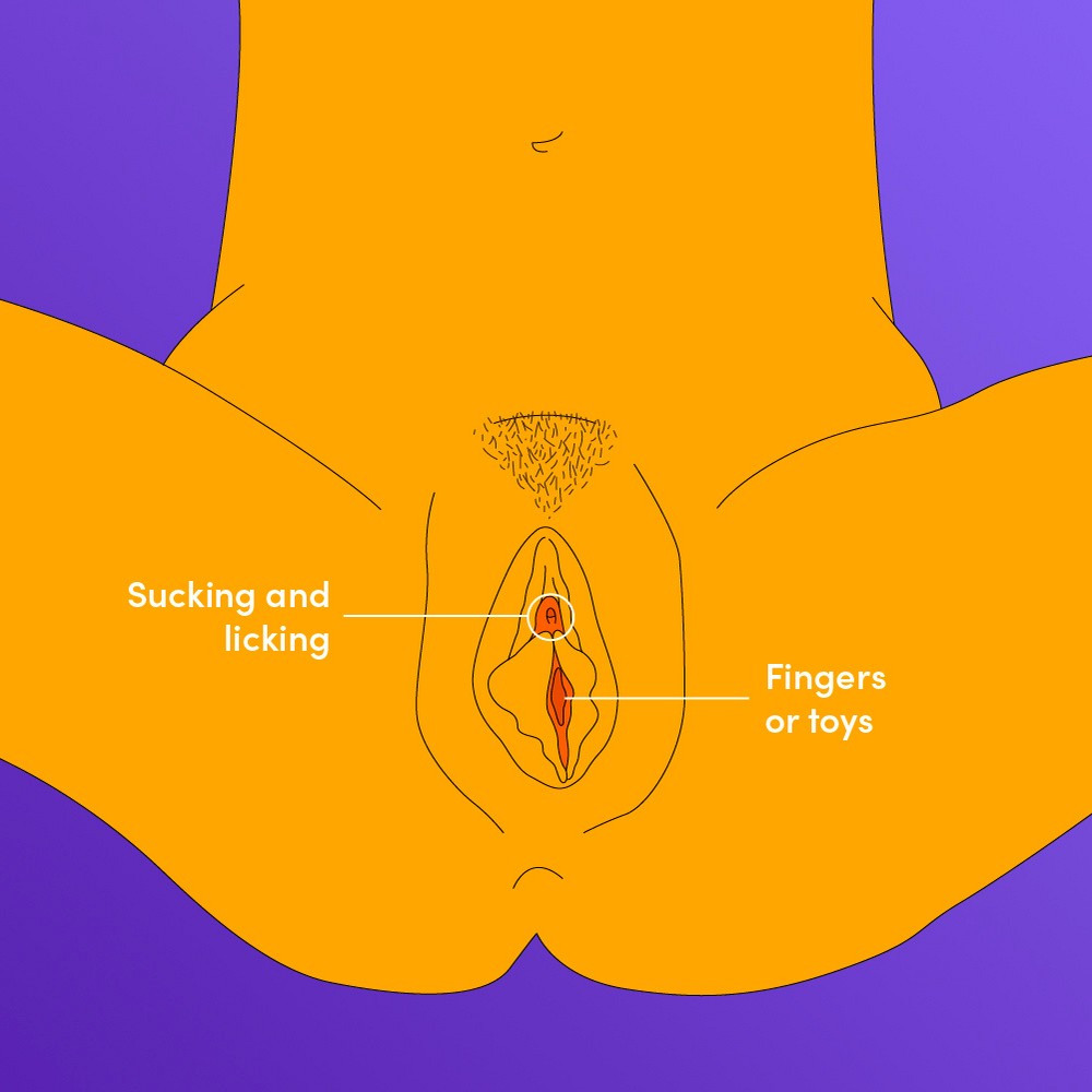 An illustrated diagram of a vulva with instructions for how to stimulate it.