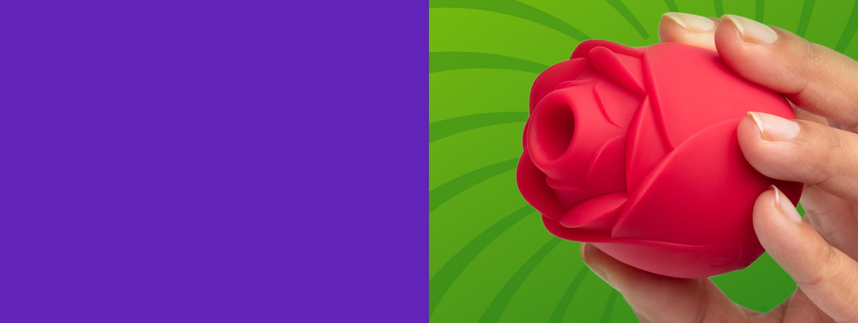 Rose-84894-Carousel-Desktop